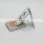 New fashion folding cosmetic make up pocket mirror for travel