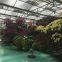 Horticulture Greenhouse for Flower and Plant Production
