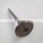 machinery diesel engineL10 intake valve 3033234