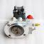 Genuine and New Diesel Engine M11 ISM QSM L10 Fuel Injection Pump 3090942 3417674 3417677 3075340 in Stock