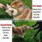 Dog Bite pillow bite training equipment Outdoor Resistant dog bite Chew Toys