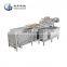 Zibo Taibo Air Bubble Vegetable and fruit processing washing machine industrial