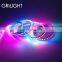 Program 18w per meter dc5v smd 5050 led ws2812b ws2818b led strip