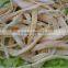 nanguang factory price Dried Cod Fillet 15cm up for sale
