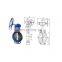China Supplier Cast Iron ANSI ASME Lug Butterfly Valve With Price