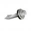 High Quality Self Tapping Screws Steel Hardware Nails Supplies Roof Self Drilling Screw Taiwan