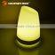 New modern table lamp for bar