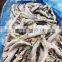 Wholesale frozen whole round sardine fish block for bait