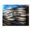 BQF frozen fish pacific mackerel for Indonesia market canning