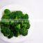 Sinocharm BRC-A approved IQF Broccoli frozen Broccoli