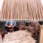 Natural Sustainable Sustainable Plastic Thatch Uv Resistant For Umbrella
