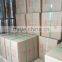 Factory Supply Ulva Lactuca Ulva Powder/Flakes