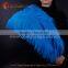 china HX wholesale white ostrich feathers for sale