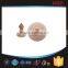 MDE121 Customized LF/HF rfid animal ear tag