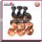 Top Quality 3T Ombre Brazilian Human Hair Weaves,Three Tone Fashion 2015 Wholesale  Hair