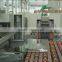 Double edging machine with best price