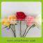 New Cut Fresh Cut Flower Rose for Home Decoration