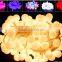 hot selling Christmas Light