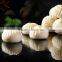 SENY Stuffed Steamed Bun Machine