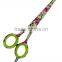 Professional Salon Hair Scissors Cutting and Thinning Scissors Set