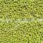 New Crop Peeled Green Mung Beans