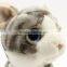 Soft Stuffed Toys Plush Cat Factory