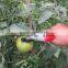 Picking Pruning Clamp