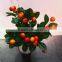 Factory Supply Making Artificial Bonsai for Indoor Decoration