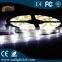 White Waterproof Led Strip Lights 12V smd 5050 30leds/m Flexible Tube Light