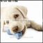 custom only:soft rubber doggy toys factory,6 inch soft PU pet toys