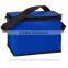 Silk Screen Printing Non Woven Cooler Bag,picnic&fitness Cooler Bag