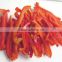 pepper for foods seasoning Frozen Sliced Red Bell Pepper from China