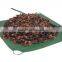Heavy Duty Vinyl Yard Tarps, Poly Yard Tarps ,Garden Yard Leaf Waste Tarps