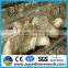 Anping yedi factory layer chicken battery cages