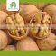 bulk dried walnuts with thin shell, walnut kernels for sale
