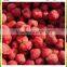 supply Bulk best quality Frozen IQF strawberry