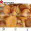 2015 IQF high quality frozen wild Chanterelles