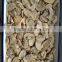 Professional supplier	manufactures Sliced Portobello Mushrooms reasonable water himalayan mushroom