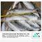 frozen mackerel fish/ Grade A frozen spanish mackerel in high quality