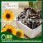 Hot Sell Round shape Black/White 2015 Sunflower Seeds Crop