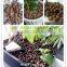 Vertical Hydroponic Grow Garden Wholesale Clay Pebbles for Sale
