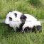 plush real looking novelty products recordable plush toy