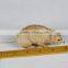 small miniature mouse mini toys for promotion
