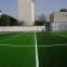 Soccer field artificial grass