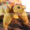 Nomo factory wholesale toy animal turtle model good price A-07