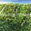 Hot Sale Eco-friendly PE Indoor Artificial Green Wall for Landscaping Decoration