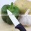 Never Rust Sharp Blade Mini Ceramic Knife With Black Handle