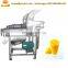 Stainless steel apple juicer machine / fruit juicer machine