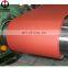Wanteng steel high quality color coated galvanized steel coil powder coated galvanized steel sheet