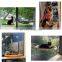 Cat Window Perch Hammock Kitty Sunny Window Platform Seat Stand Catnapper Mount Bed Suction Cup